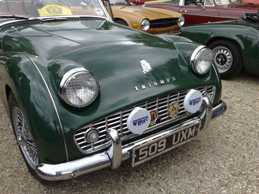 TR3Green